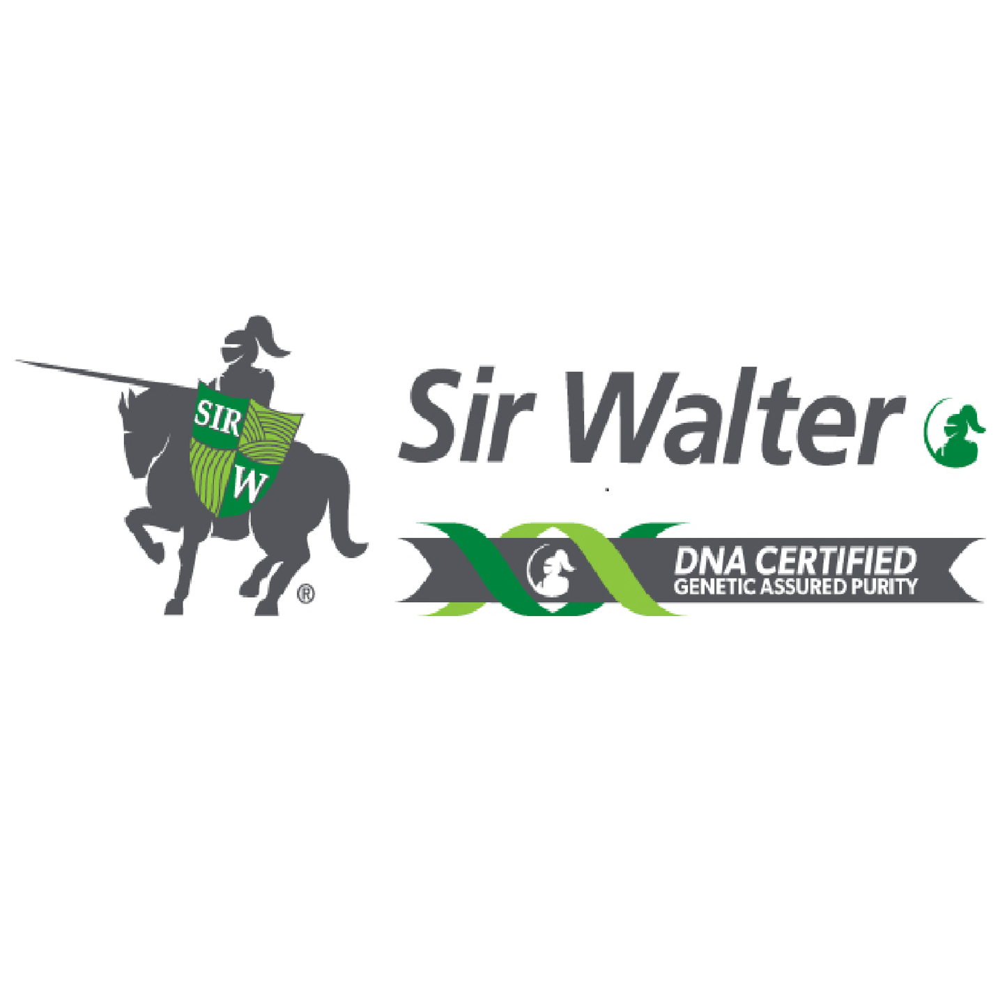 SIR WALTER (DNA Certified)